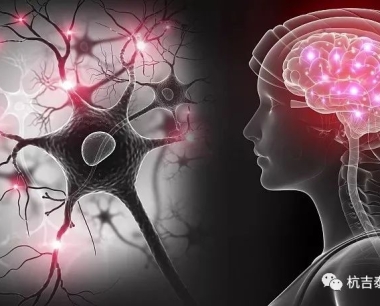 神经干细胞移植在临床中面临的问题有哪些?