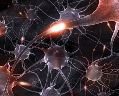 神经干细胞能移植治疗帕金森病、阿尔茨海默氏症、多发性硬化症吗？