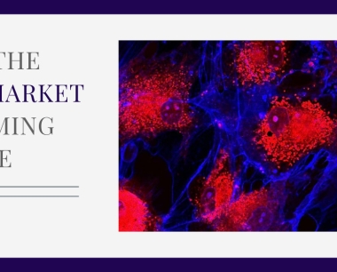间充质干细胞市场如何在2023年走向成熟