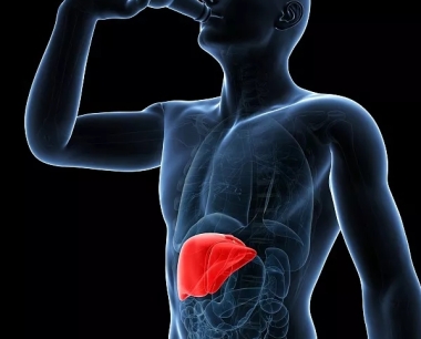 间充质干细胞治疗酒精性肝病的当前治疗选择和潜力