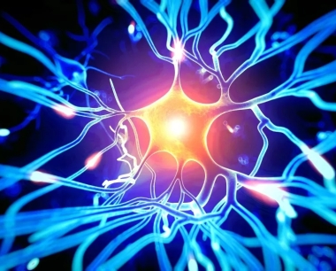 Nature Medicine：神经干细胞移植治疗多发性硬化 I 期临床结果