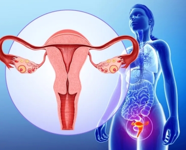原发性卵巢功能不全发病原因及治疗方法
