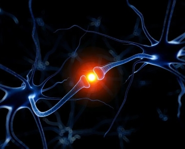 关于神经干细胞移植的27个常见问题