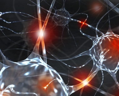 神经干细胞和神经元干细胞有什么区别？