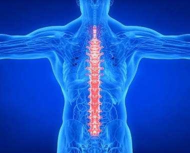 间充质干细胞治疗脊髓损伤的进展和未来的前景