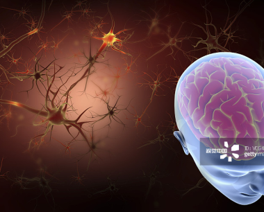 干细胞疗法与神经系统疾病的概述（2023）
