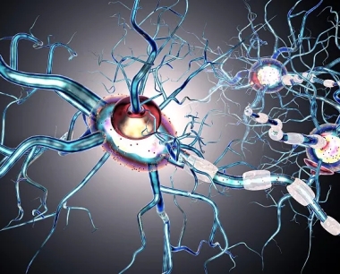 间充质干细胞：神经退行性疾病的潜在治疗策略