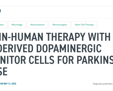 首次使用干细胞衍生的多巴胺能祖细胞治疗帕金森病的人体疗法