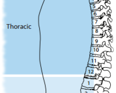 颈脊髓损伤：症状和预后