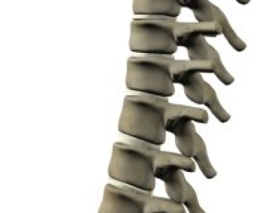 骶椎损伤概述