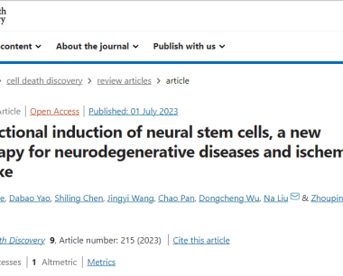 神经干细胞成为神经退行性疾病和中风的新疗法