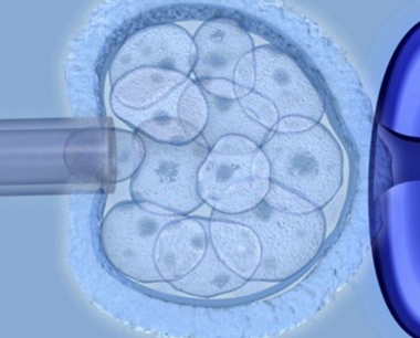 胚胎干细胞——定义、用途和局限性