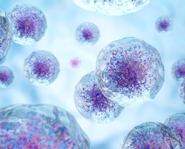 间充质干细胞的细胞治疗策略临床进展一览