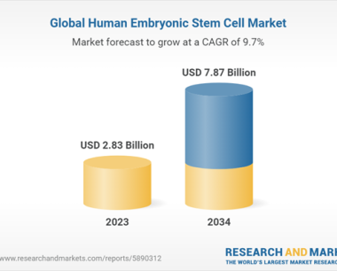 2024-2034年全球人类胚胎干细胞市场分析：深入探讨应用、最终用户和区域需求