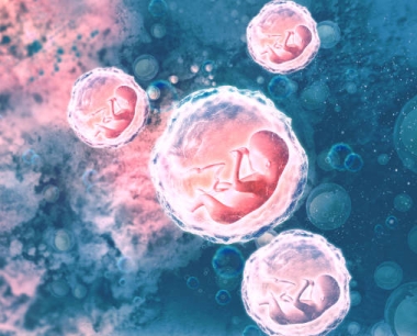 人类脐带间充质干细胞移植对临床治疗有何影响？