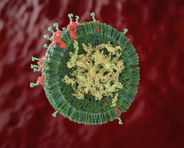 干细胞外泌体：生物学功能、临床潜力和效用