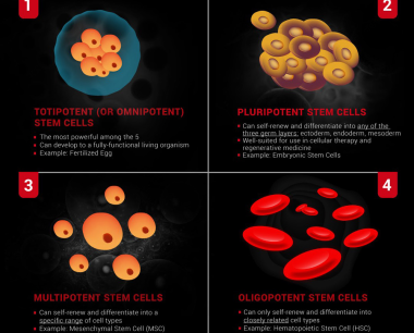 你知道这5种干细胞吗？