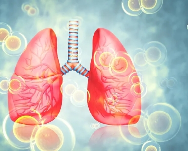 关于慢性阻塞性肺病（COPD）你需要知道的一切