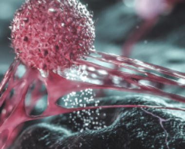 超2000项研究从肿瘤到常见病，NK细胞疗法大有可为
