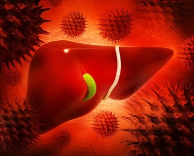 什么是乙型肝炎？