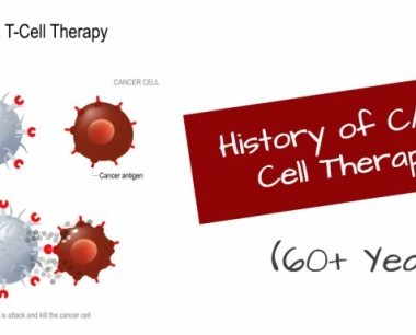 CAR-T细胞疗法已有60多年的历史