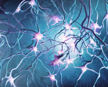 神经干细胞常见问题解答