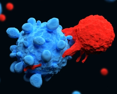 用于免疫防御的T细胞：2024年的CAR-T细胞疗法