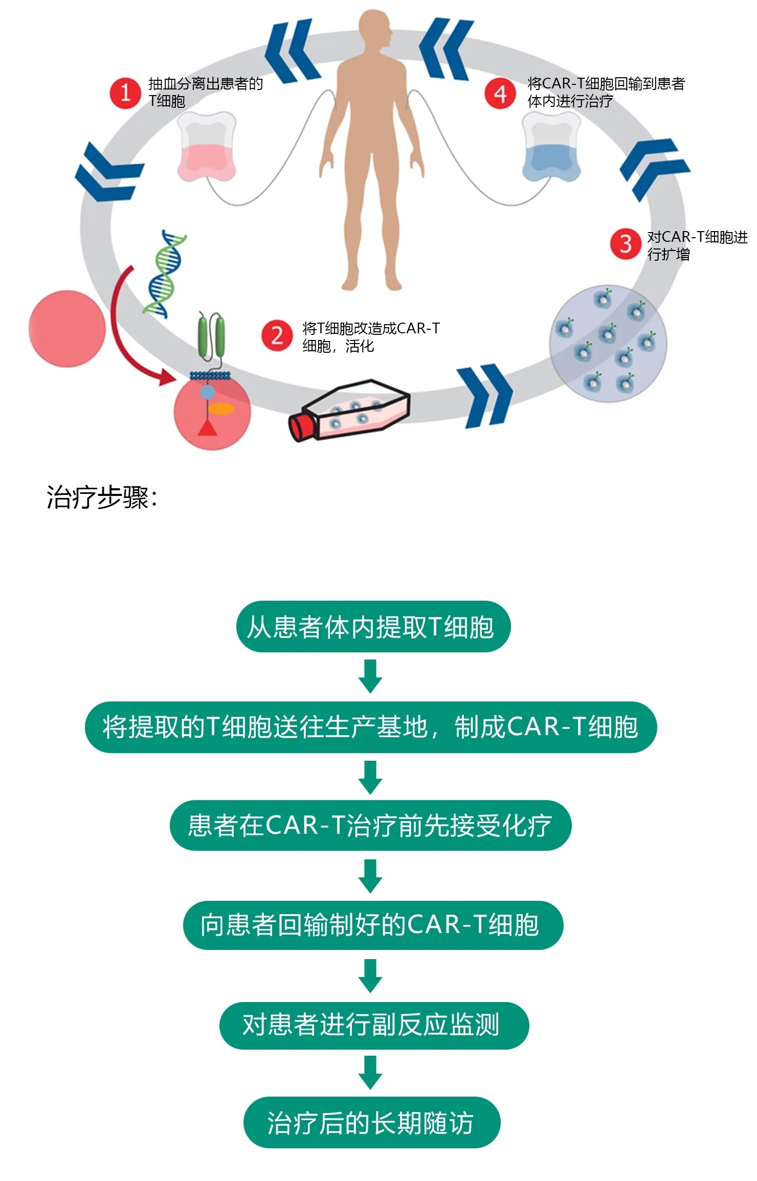 什么是CAR-T细胞疗法