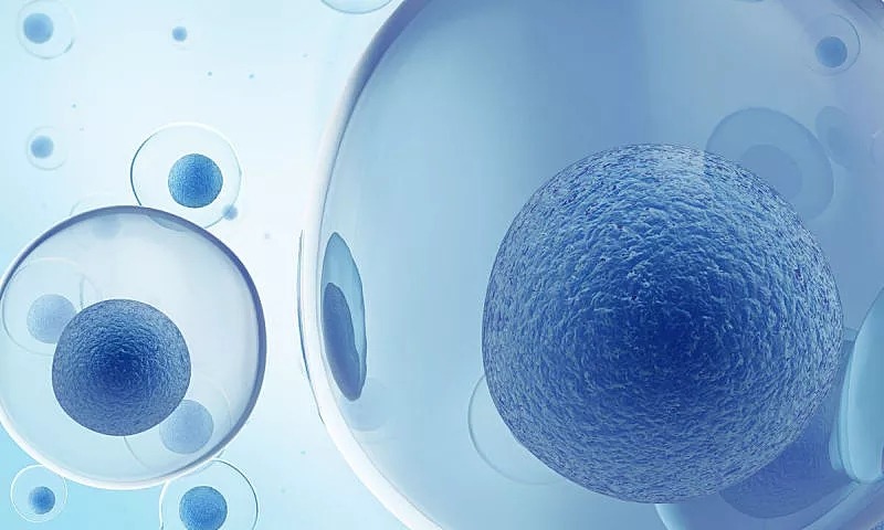 干细胞6个知识点 | 干细胞是啥？能干啥？