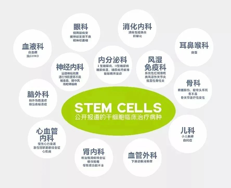 什么是干细胞治疗，能治疗哪些疾病？