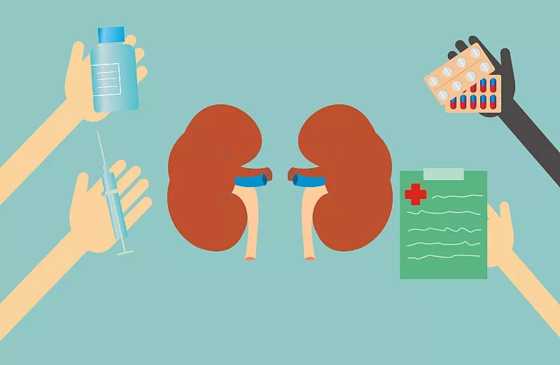 间充质干细胞治疗糖尿病肾病的潜力概述