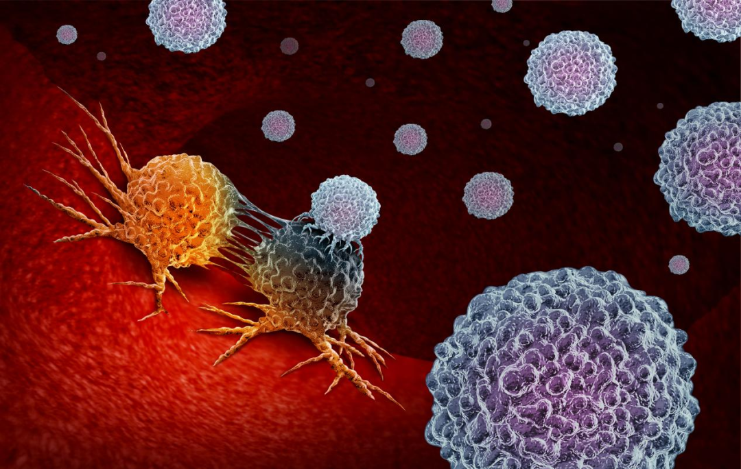 细胞免疫疗法——让“谈癌色变”成为过去式