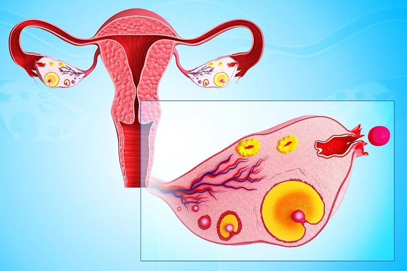 治疗卵巢早衰的办法有哪些？