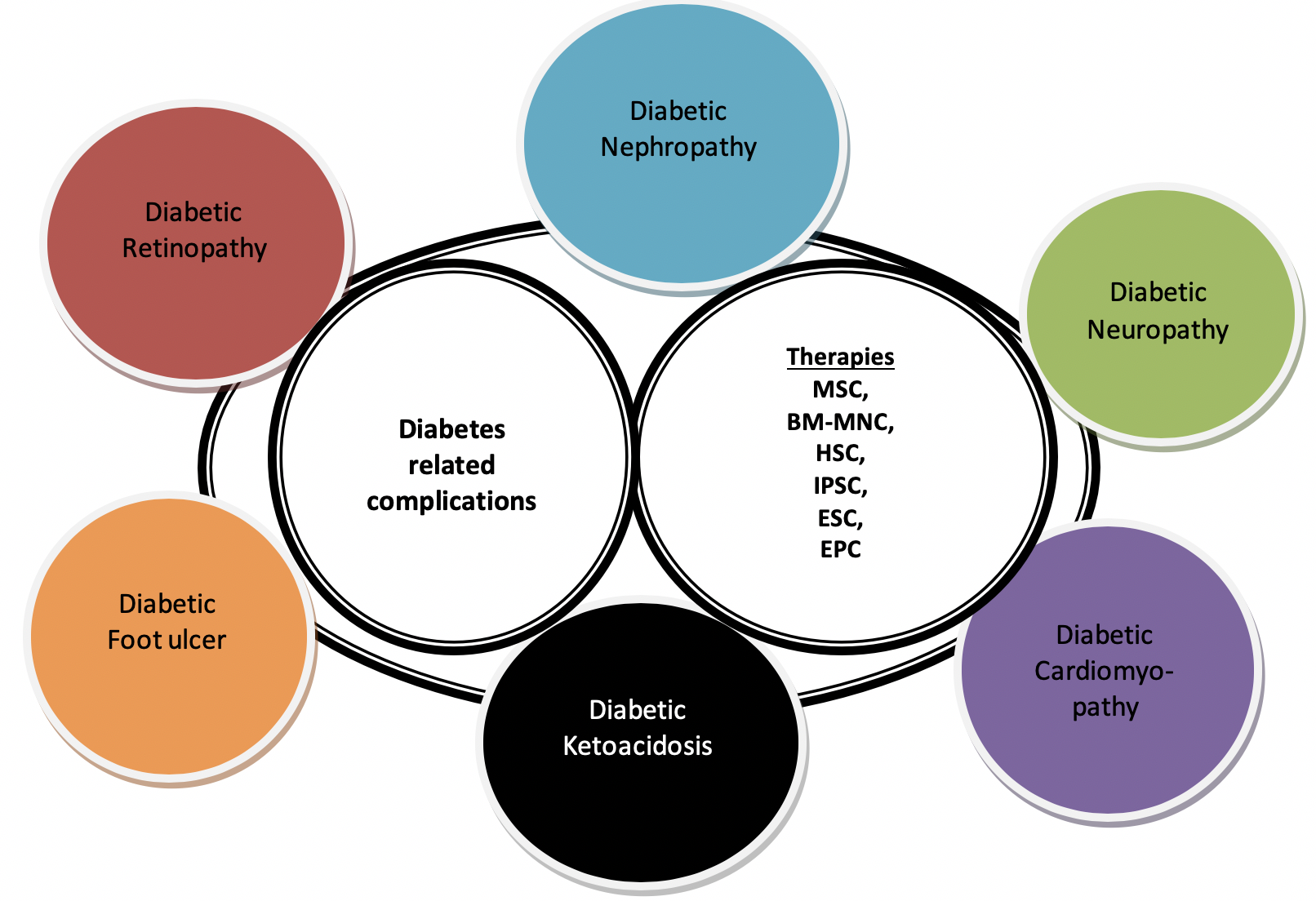 图1：间充质干细胞 (MSC) 治疗糖尿病血管并发症的选择；