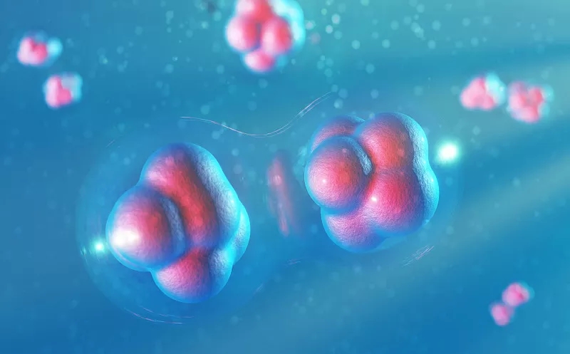 干细胞疗法是脑瘫患者的新救星吗