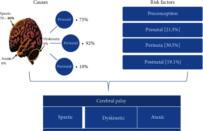 导致脑瘫的事件
