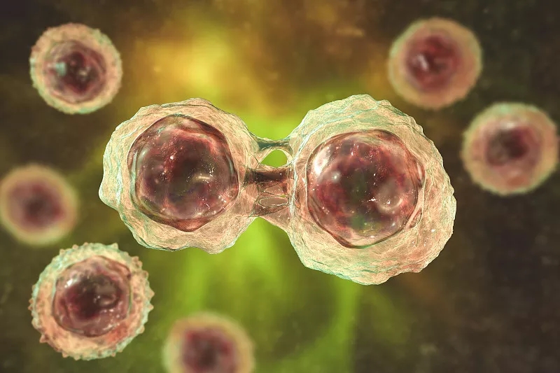 间充质干细胞治疗疾病的作用机制