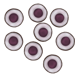 组织特异性干细胞