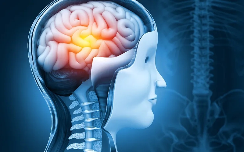 干细胞疗法和大脑神经系统疾病:真相是什么?