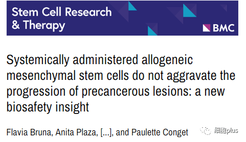 系统性施用同种异体间充质干细胞不会加剧癌前病变的进展：新的生物安全见解
