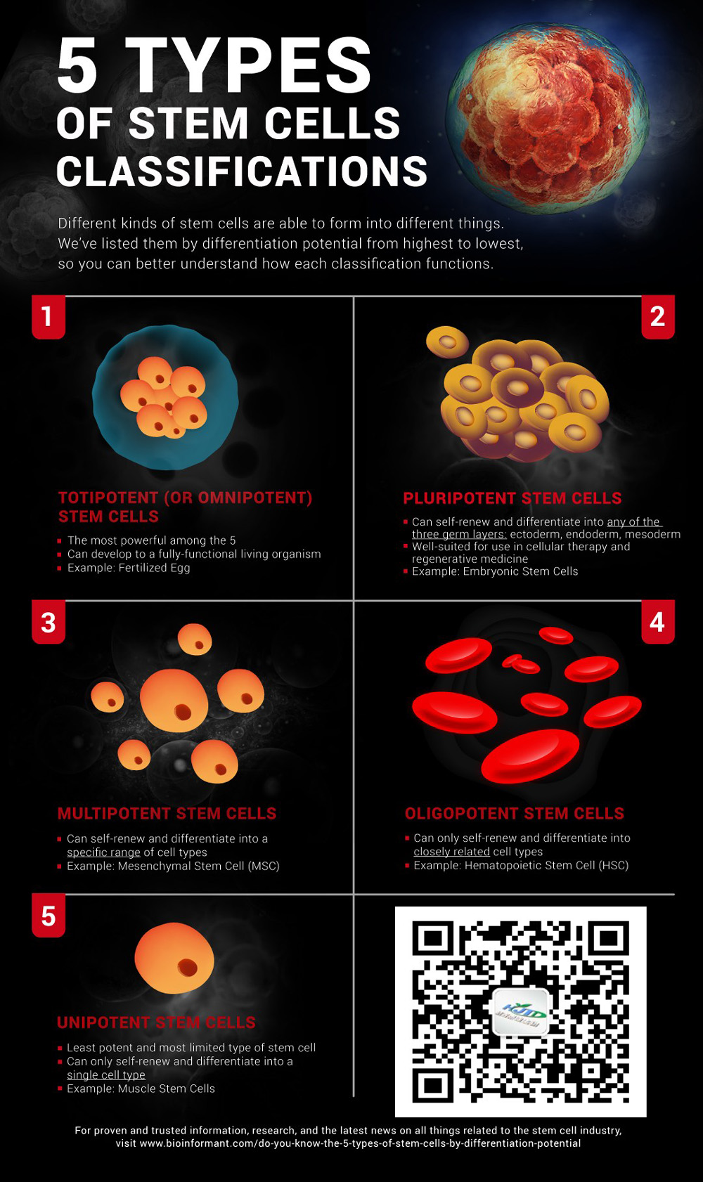 不同类型的干细胞 |  你知道5种干细胞吗