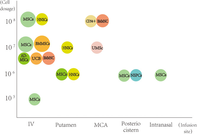 图1:临床试验中细胞类型、剂量和输注部位之间关系的可视化 图1:临床试验中细胞类型、剂量和输注部位之间关系的可视化
