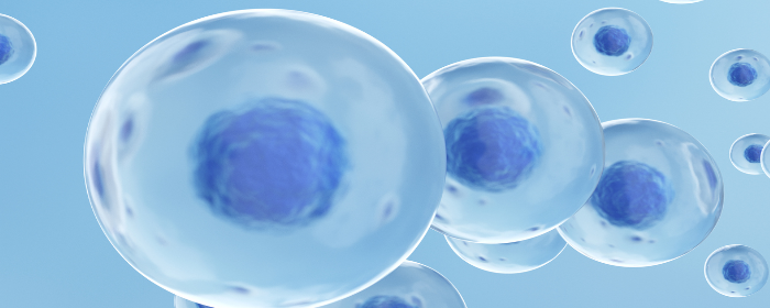 间充质干细胞在治疗特发性帕金森病中的安全性如何