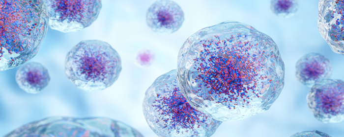 干细胞疗法治疗炎性肠病的临床研究进展