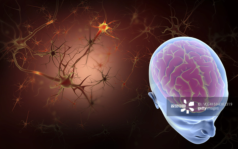 干细胞疗法与神经系统疾病的概述（2023）