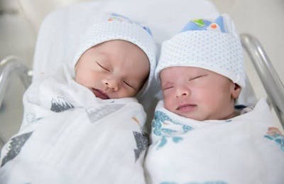 双胞胎脑瘫的可能性增加表明遗传原因