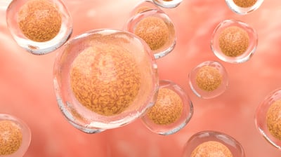 新的Vertex1型干细胞疗法获得FDA批准进入临床试验