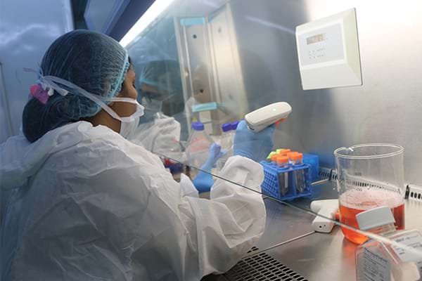 干细胞移植的具体程序