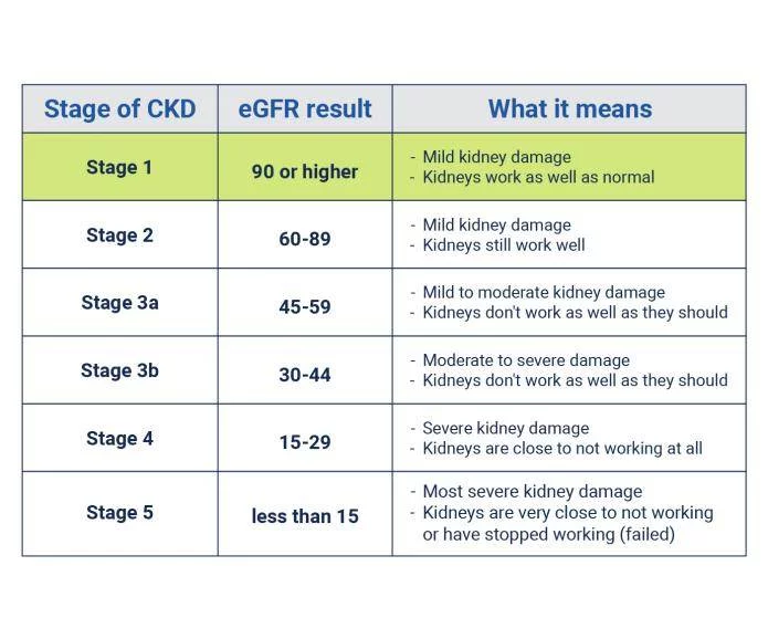 了解有关慢性肾病各个阶段的更多信息 了解有关慢性肾病各个阶段的更多信息