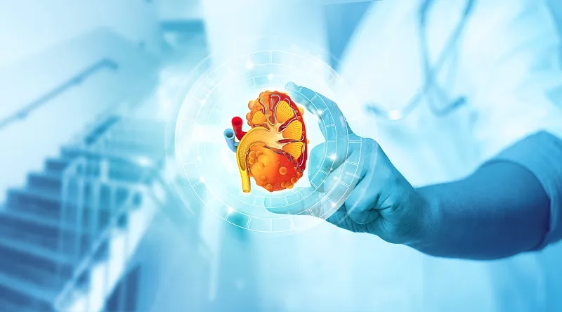 2型糖尿病与肾病的关系